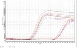 qPCR