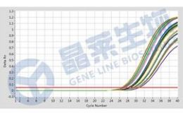 半定量RT-PCR实验服务