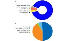 microRNA 测序