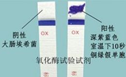 氧化酶(Oxidase)试验