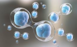 免疫检查点抑制剂药效评价