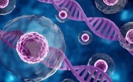 肿瘤免疫微环境（TIME）全景分析（Luminex/ELISA）