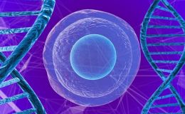 类器官单细胞测序分析（scRNA-Seq）