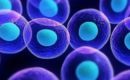 耐药类器官模型筛选