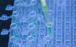 类器官-免疫细胞共培养模型