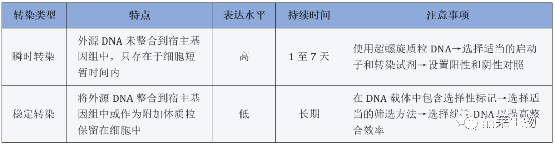 640 (1).png