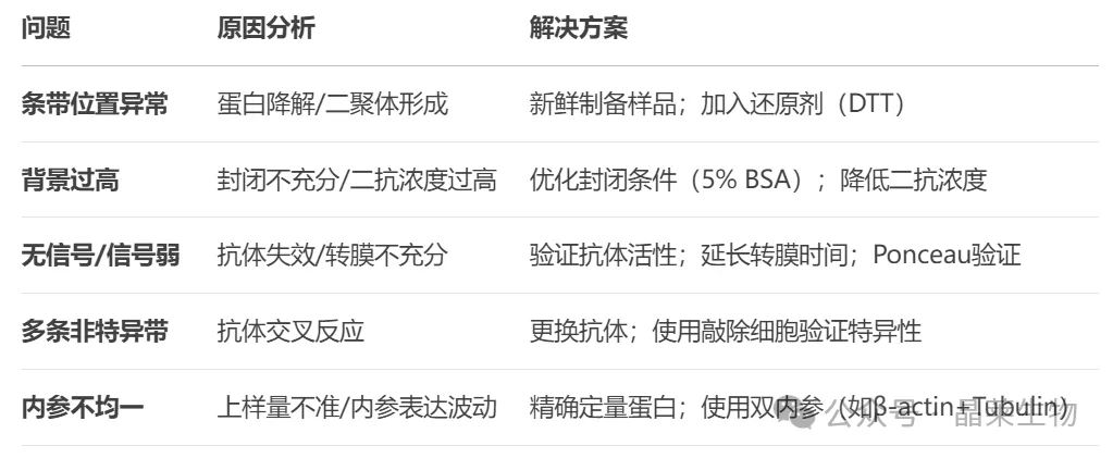 640_wx_fmt=png&from=appmsg&watermark=1&tp=webp&wxfrom=5&wx_lazy=1.jpg