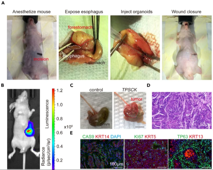 1768205952114591.png image.png