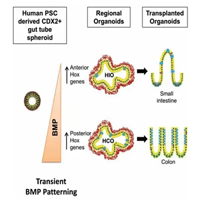 format,f_auto (5).jpg