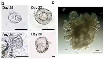 format,f_auto (6).jpg