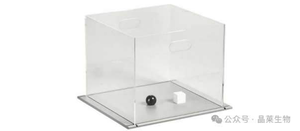 1770012620786074.png 2.png