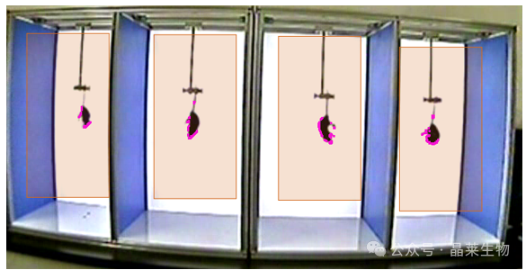 1770012725964755.png 5.png