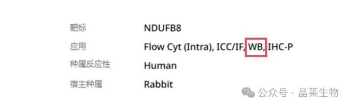 1770620121241846.png 01.png