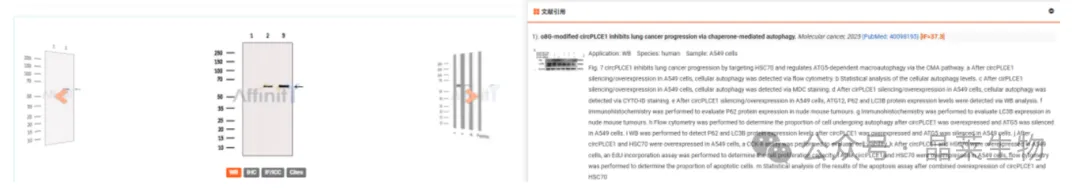 1770620127150572.png 02.png