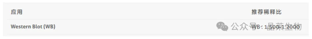 1770620155815691.png 04.png