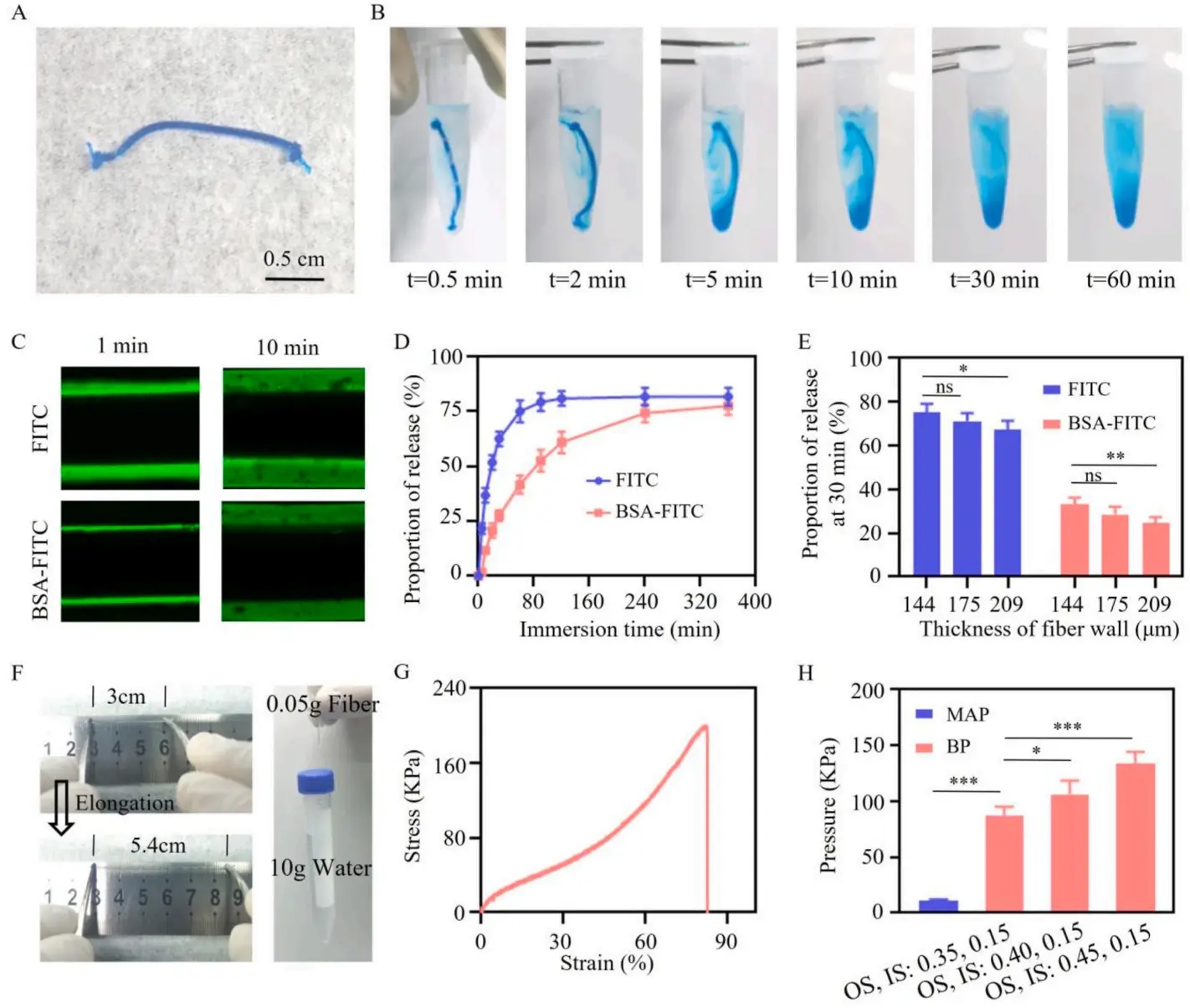 1772092122104205.png 3fa7bd31011463735eff026c29067e6f_71a3b618702246279b744d571d98a831.png