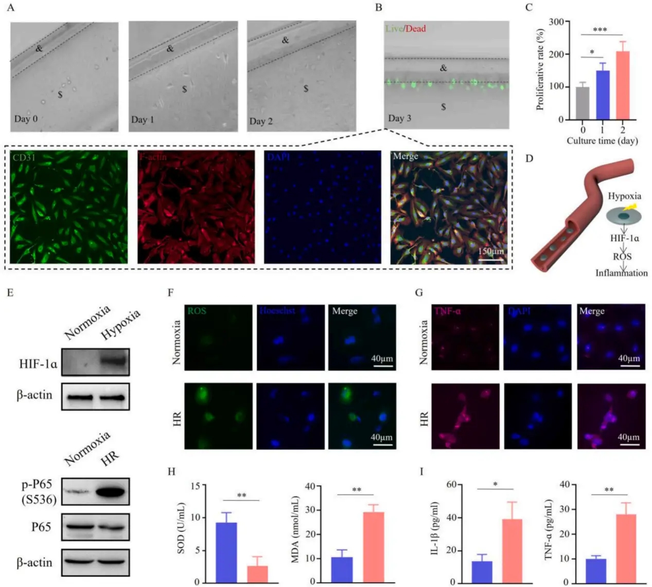 1772092131376878.png 2d4e7a432c909d29ae2490eedf54554e_4ef3c240fcb54e0ea88845bd0b5ac6e8.png