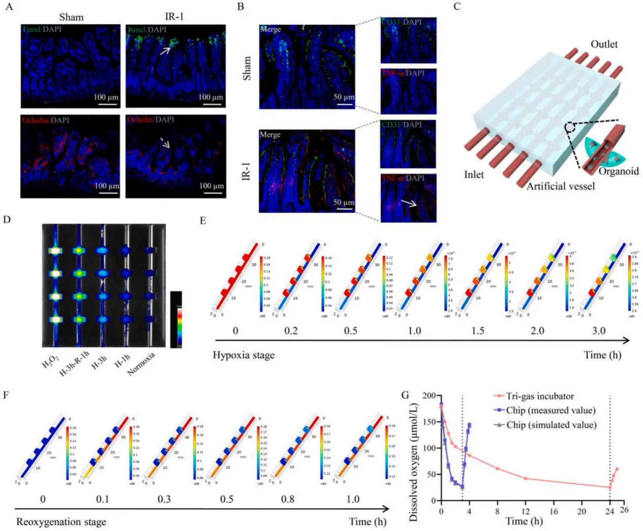 1772092178142370.png bb59d66116800d2ada10369dda582452_098bc6a1dcf84d3284fa021a9c585f84.png