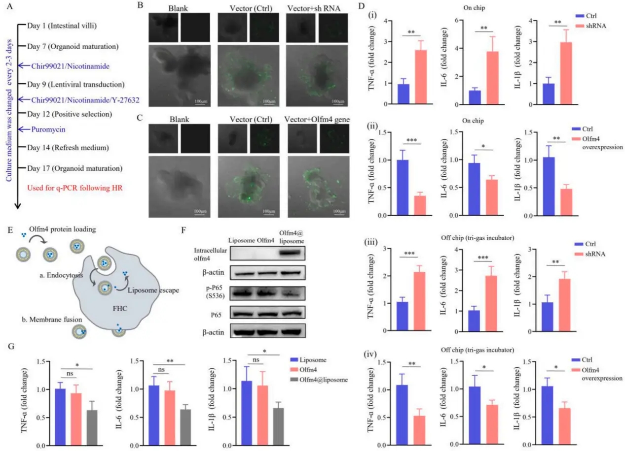 1772092202695639.png 2d8e3917647e04b777b02baeb72f0ca5_7a18b22b9c6b4de0b50ee847709dcff9.png