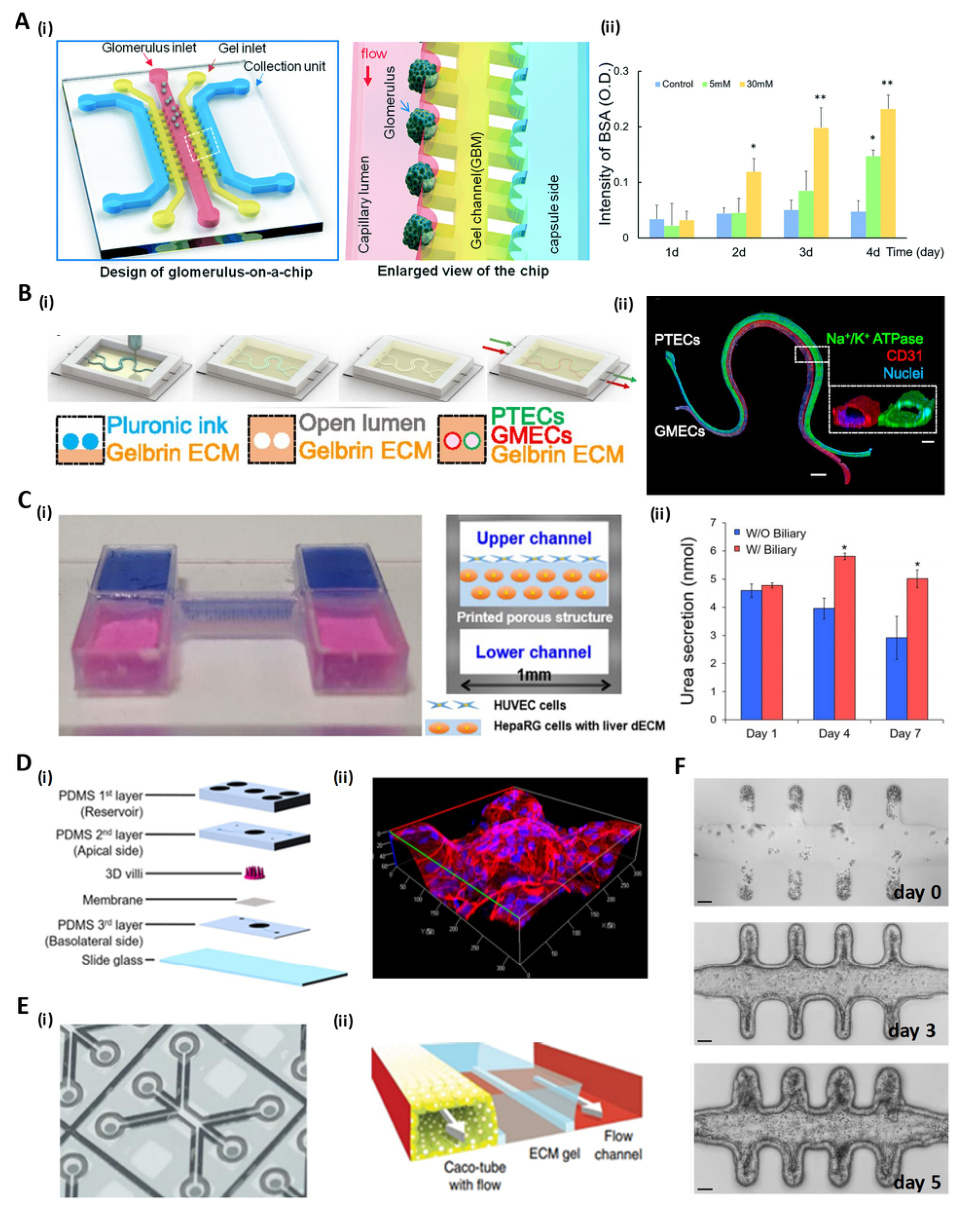 1772097661336460.jpeg 32e04cbbaa053be6d8bb389fcc406d4a_fedede0dfd8ff8b0caacd00319099314.jpeg