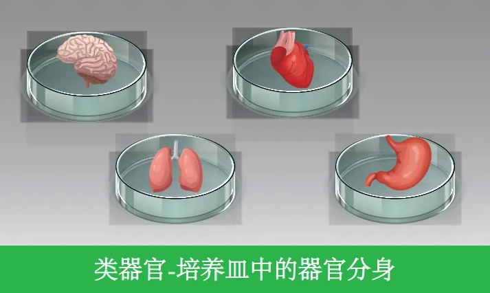 1772264579167536.png image.png