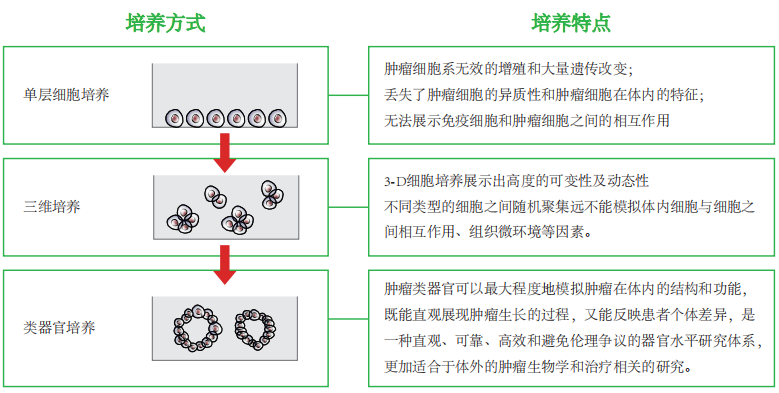 1772264640920815.png a66eb5dfa15e3bc0b672315ffd29264c_640_wx_fmt=png&tp=webp&wxfrom=5&wx_lazy=1#imgIndex=3.png