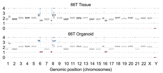 1772264751879352.png 2151f4bdbfaa9547d348c625a02e5b52_640_wx_fmt=png&tp=webp&wxfrom=5&wx_lazy=1#imgIndex=5.png