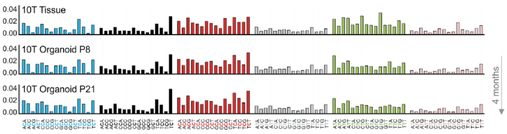 1772264779873294.png aeea0bb4113b6500809f692f0a89b037_640_wx_fmt=png&tp=webp&wxfrom=5&wx_lazy=1#imgIndex=6.png