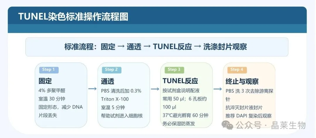 1775788940329839.jpg 04.jpg