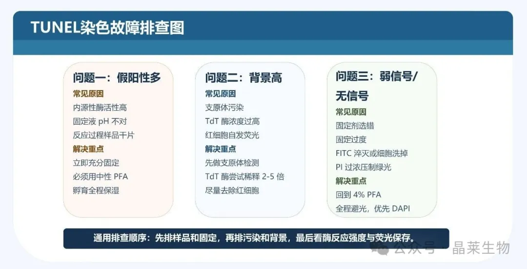 1775788945104539.jpg 05.jpg