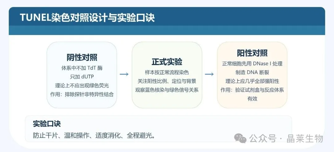 1775788950836588.jpg 06.jpg