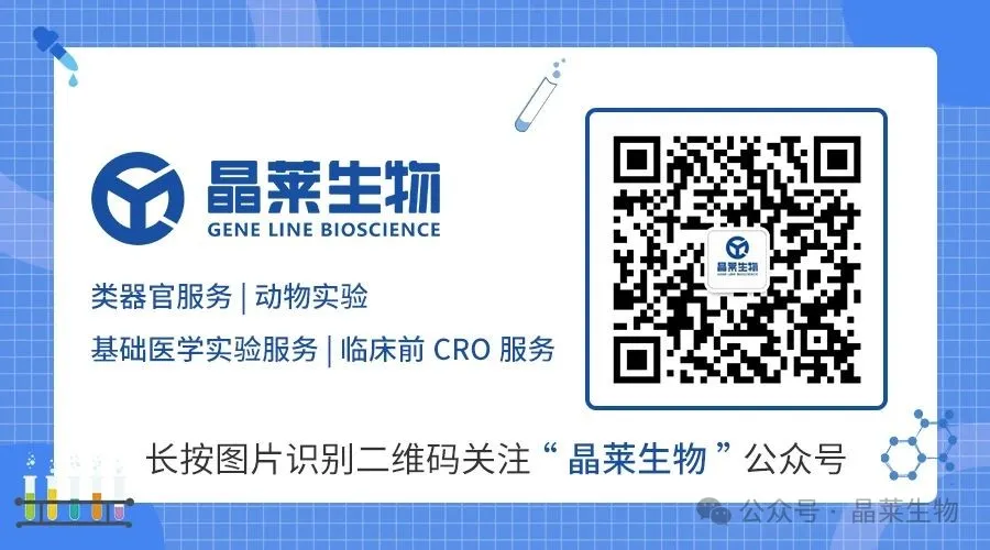 1775788986956435.jpg 尾图2.jpg