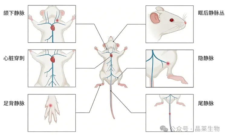 1776058638453723.png 2.png