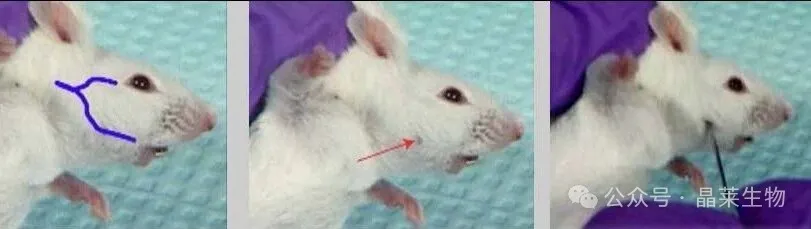 1776058643271615.png 3.png