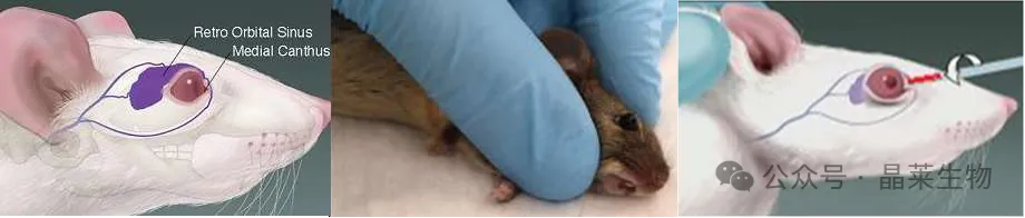 1776058664920339.png 4.png