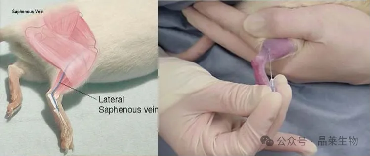 1776058679959808.png 5.png