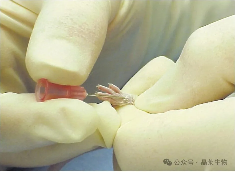 1776058684369425.png 6.png