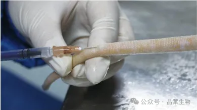 1776058688743163.png 7.png