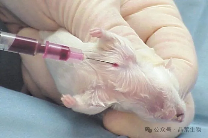 1776058692935389.png 8.png