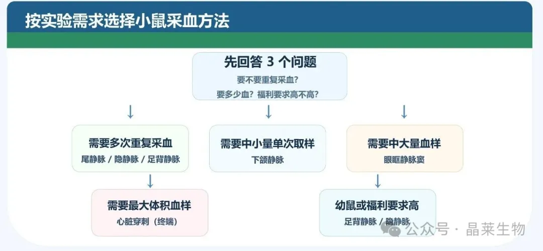 1776058699910916.png 9.png