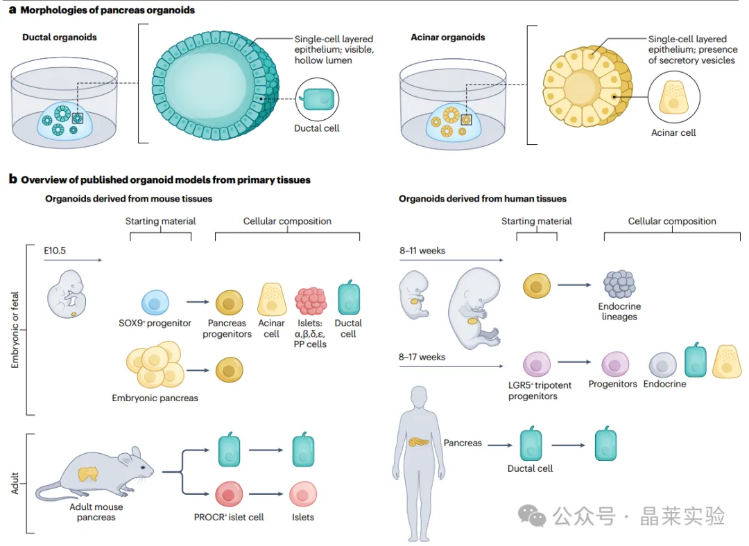 1776059295255027.png 4.png