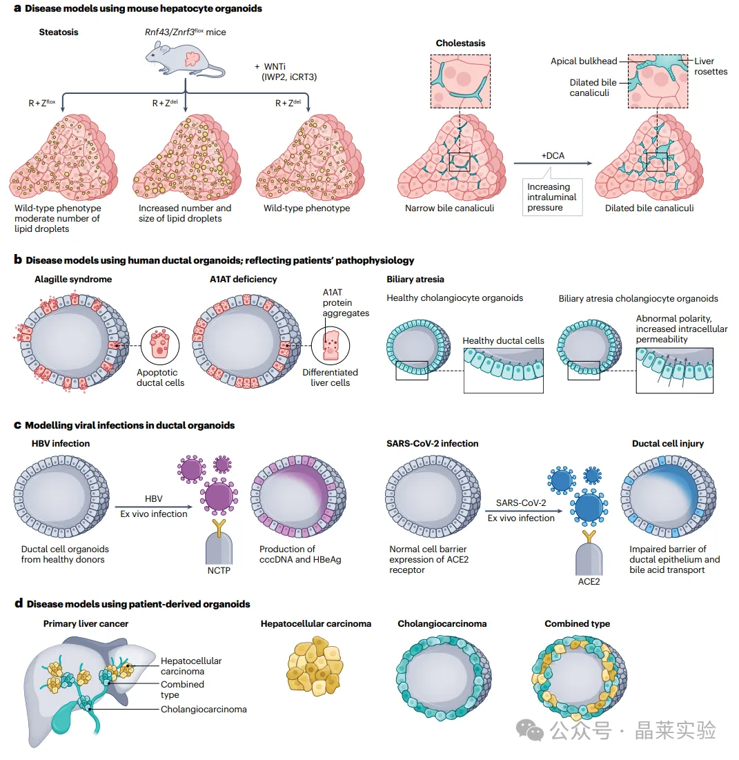 1776059307974139.png 5.png