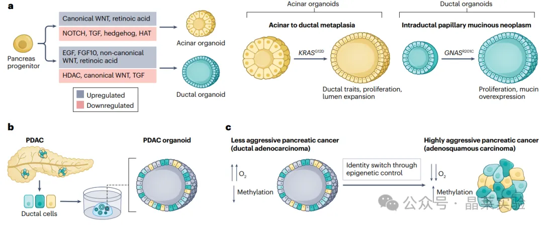 1776059319391363.png 6.png