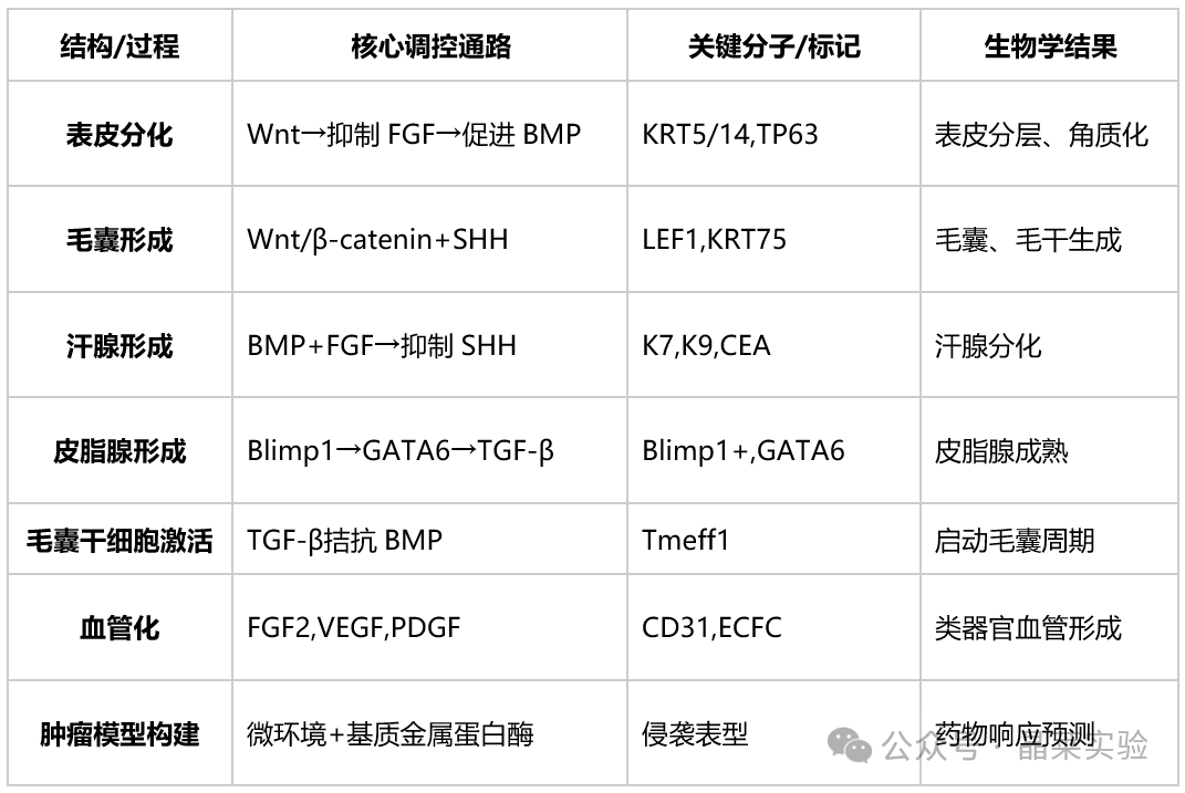 1776148312117438.png 1.png