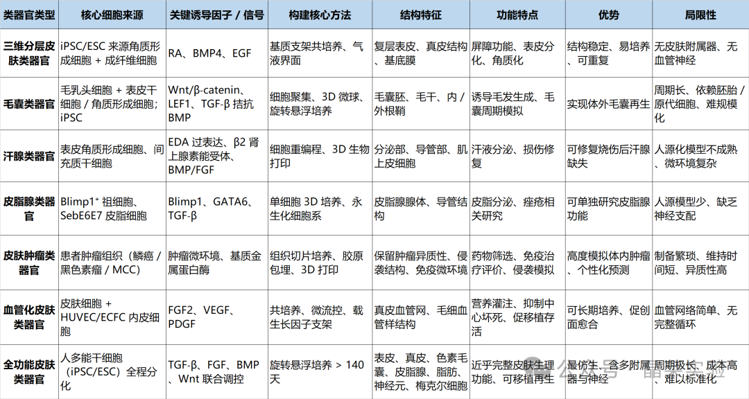 1776148360437232.png 2.png