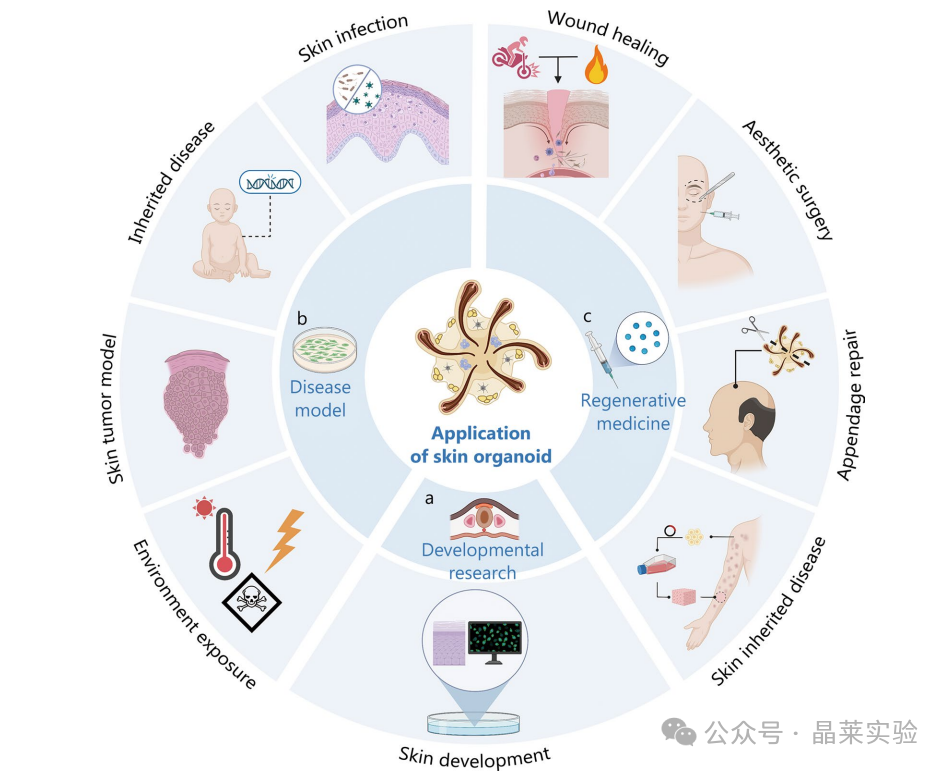 1776148365288704.png 3.png