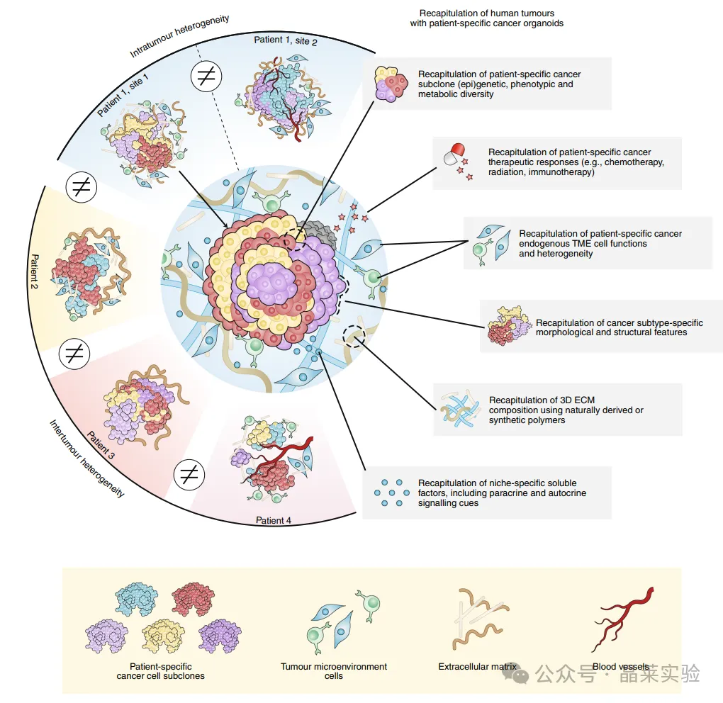 1776148770970400.png 2.png