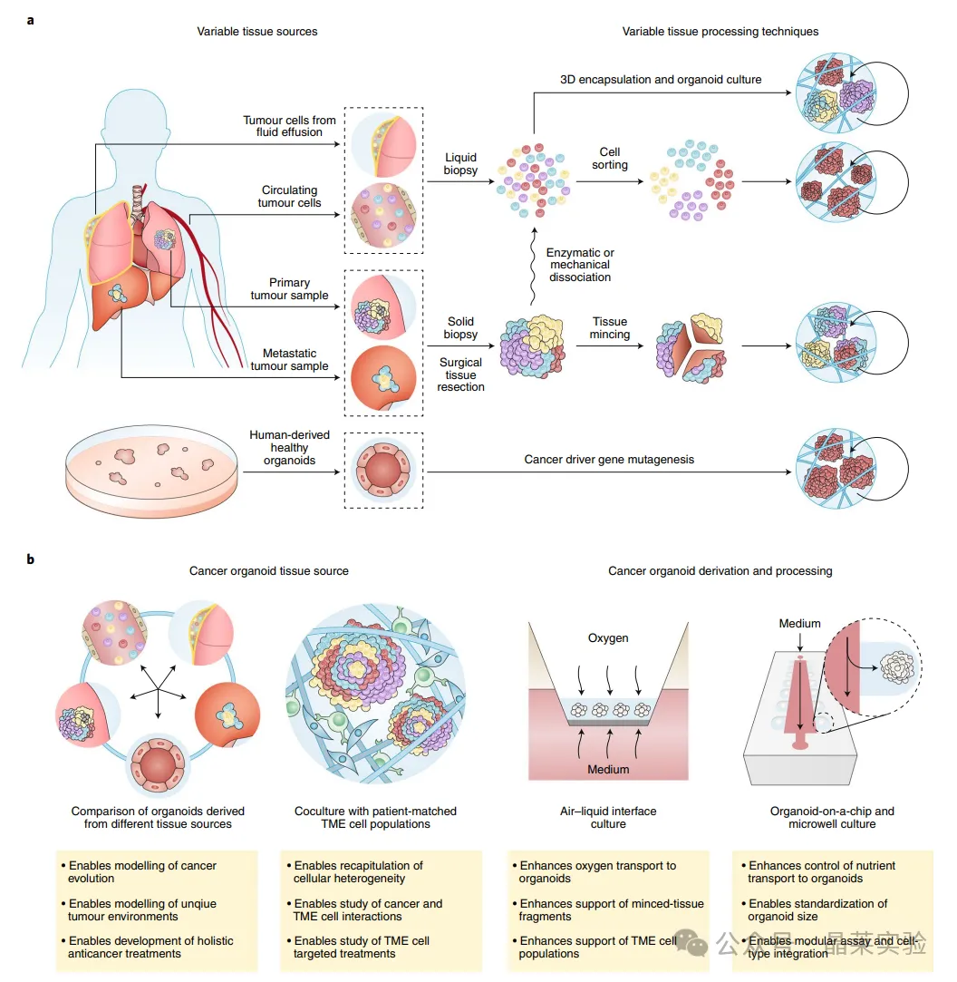 1776148787764737.png 3.png