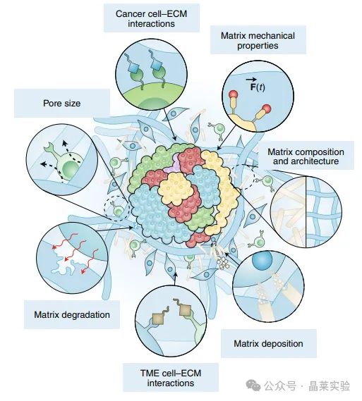 1776148843614334.png 4.png