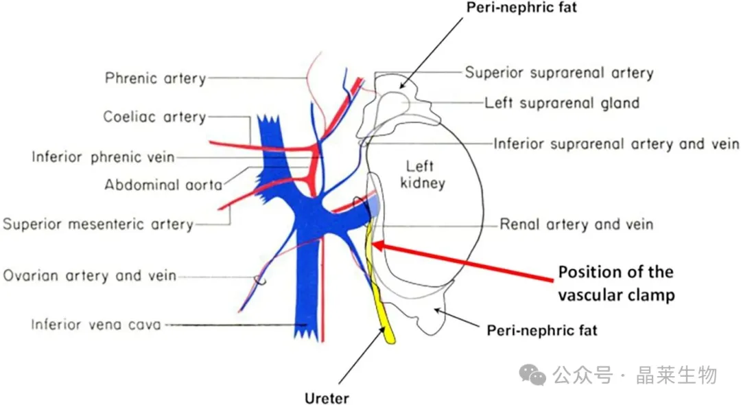 1776222197252130.png 1.png